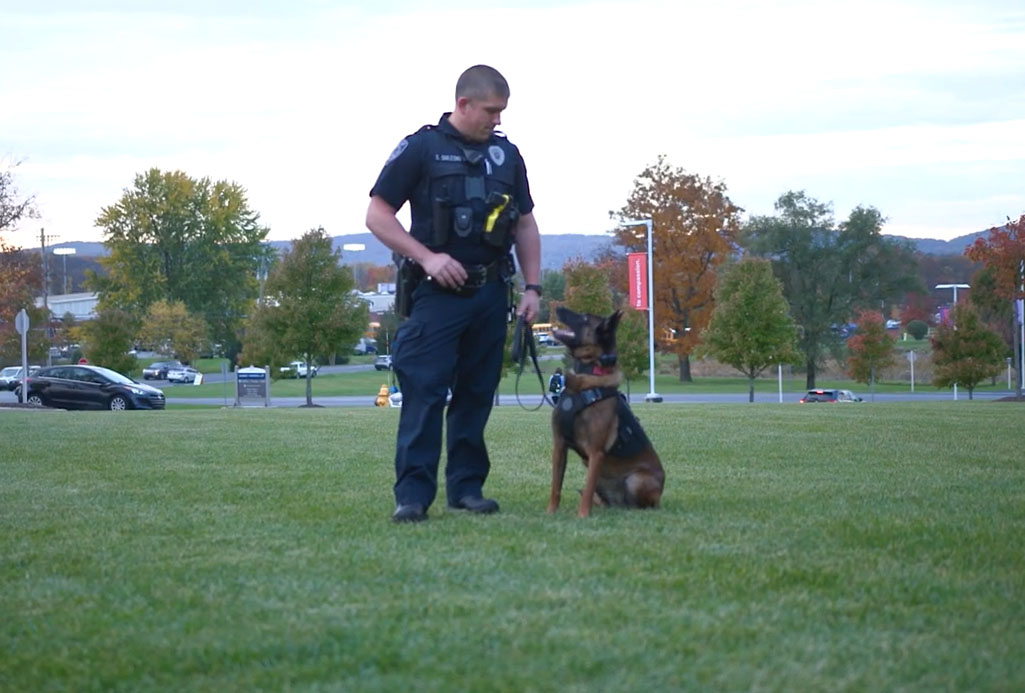 police officer with training dog