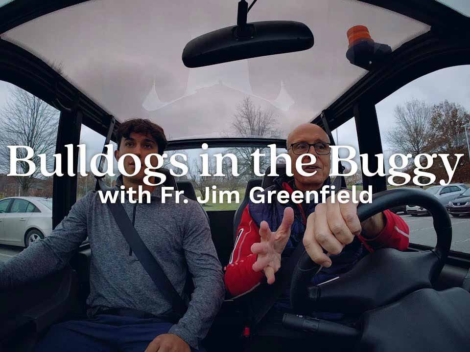 bulldogs in the buggy