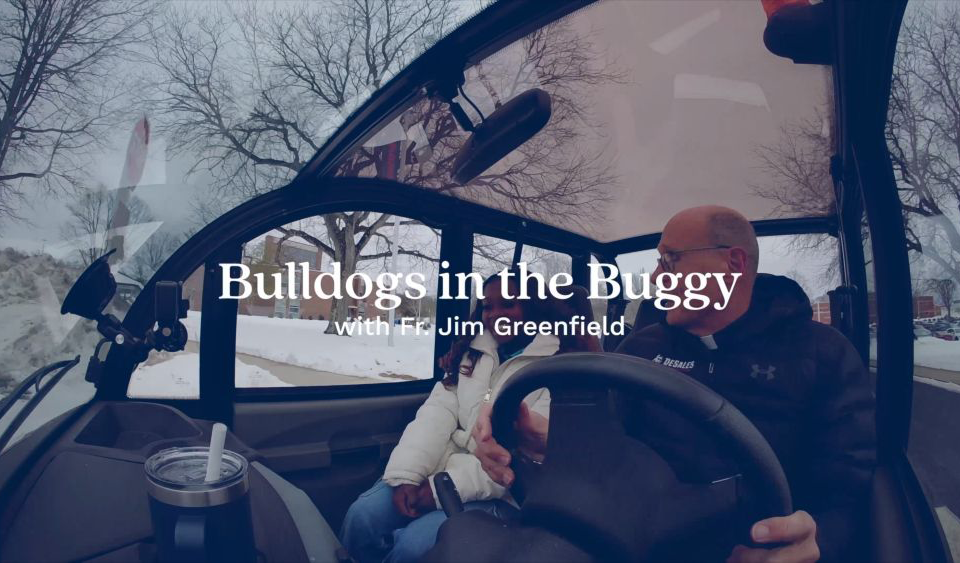 bulldogs in the buggy