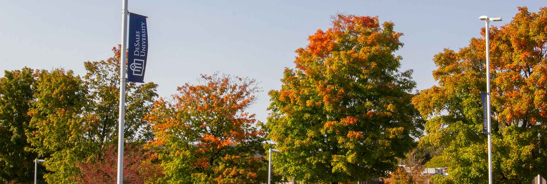 campus in fall