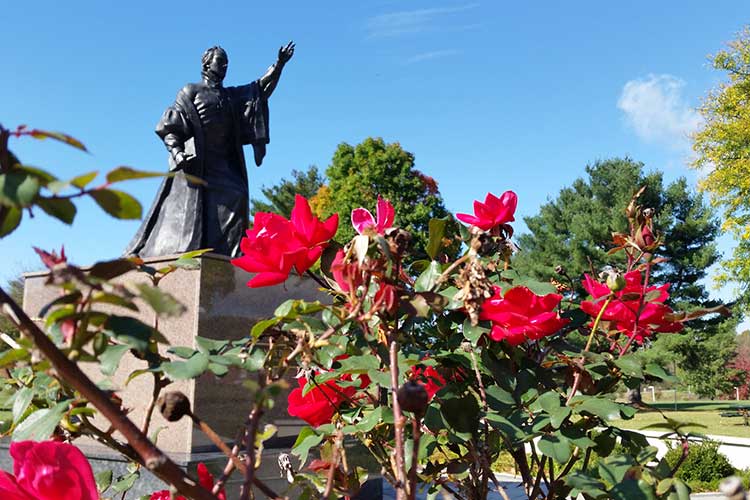 st francis statue