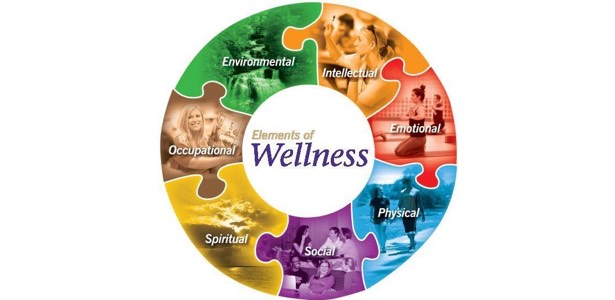 Wellness Center wheel of health
