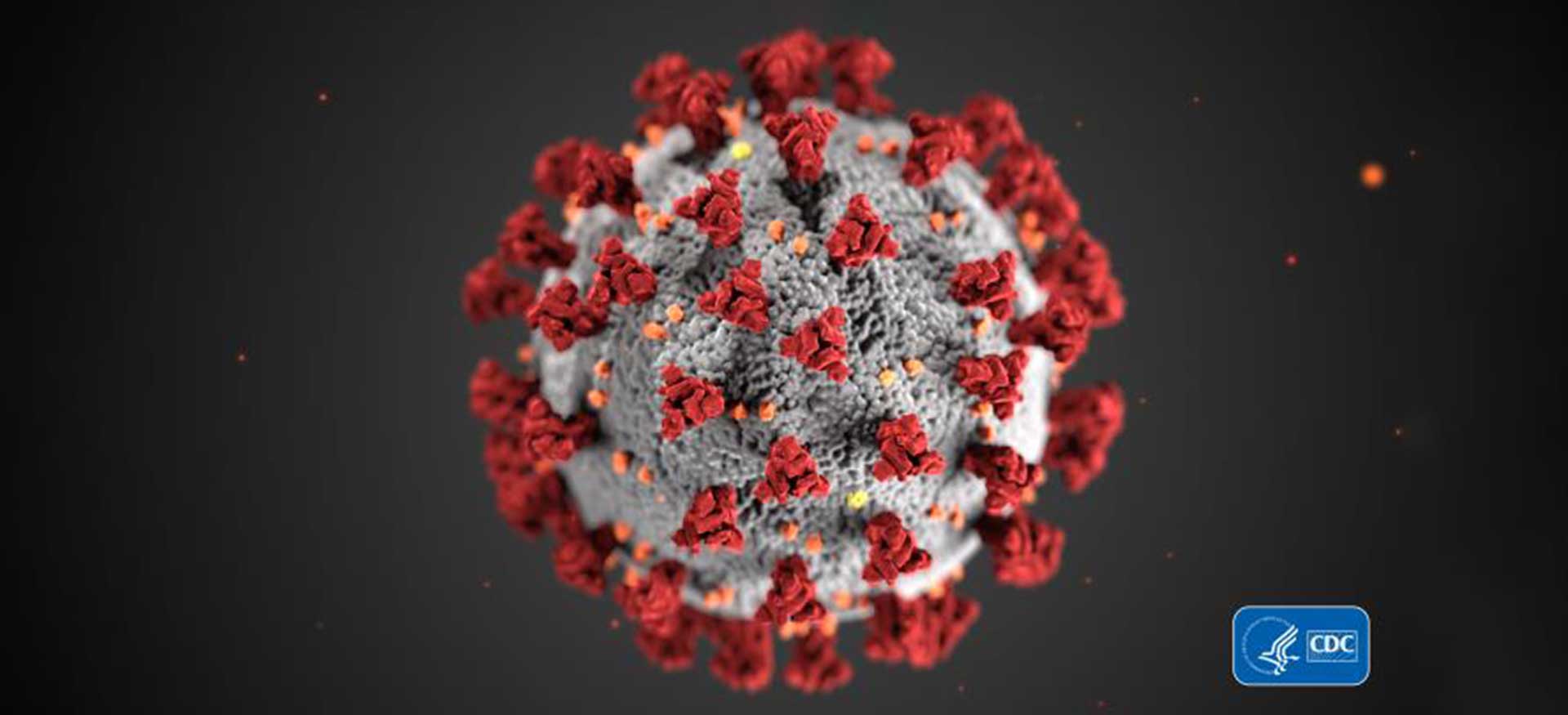 Coronavirus CDC image